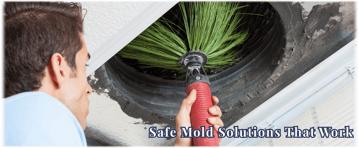 Air Duct Mold Removal in Houston TX